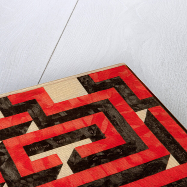 warren fletcher maze, 2016 by Thomas MacGregor