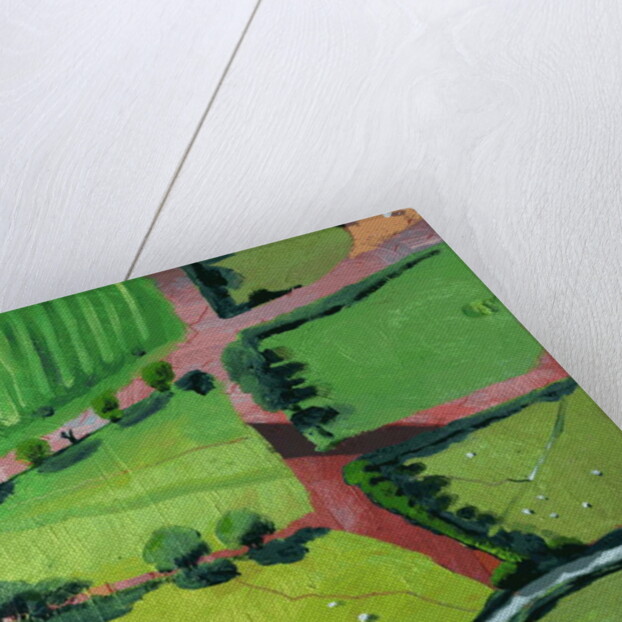 View over Safron Walden or Thaxted, 2017 by Thomas MacGregor