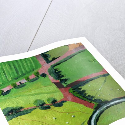 View over Safron Walden or Thaxted, 2017 by Thomas MacGregor