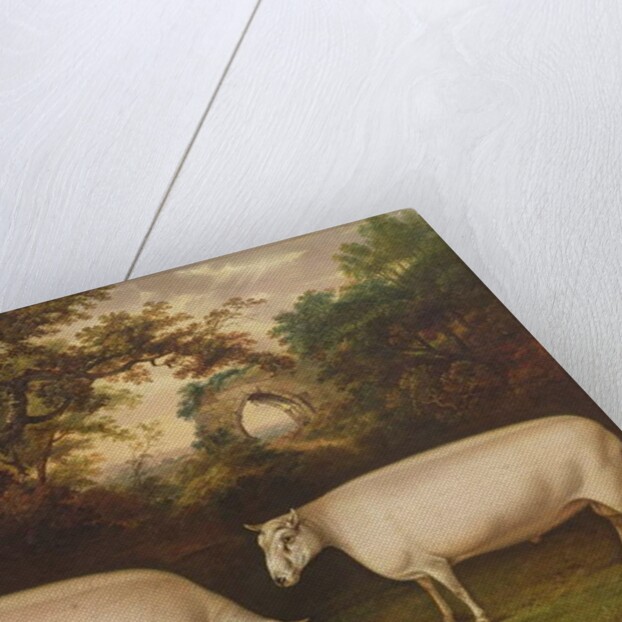 Two Prize Border Leicester Rams in a Landscape, 1800 by Thomas Weaver