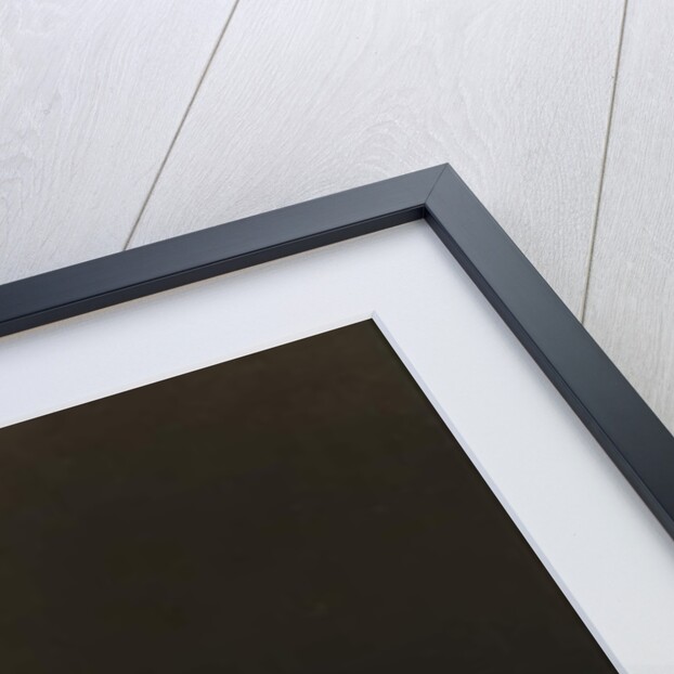 First prize at Smithfield Club Show £10 by John Vine