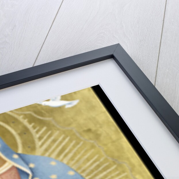 La Paloma Blanca, 2013 by Jodi Simmons