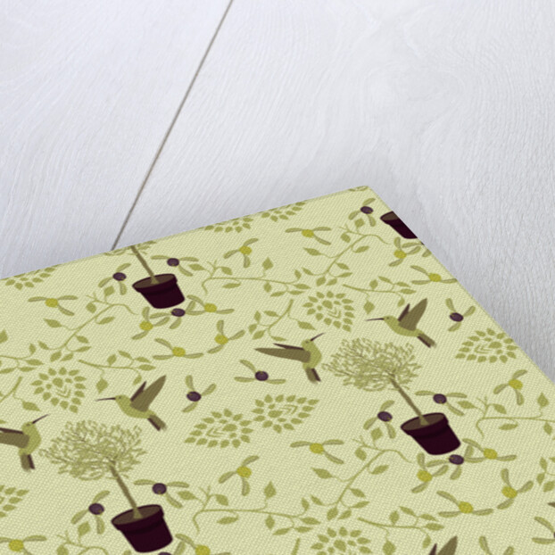 The Olive Tree, 2017 by Claire Huntley