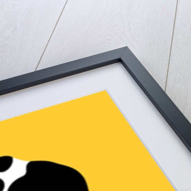 Cat on a Brompton Bike, 2017 by Claire Huntley