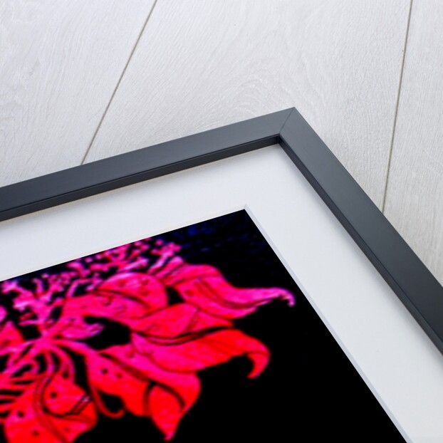 Red for William;s sister, 2017 by Linda Arthurs