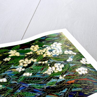 Flowers in stream, 2012 by Linda Arthurs