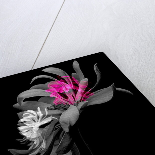 SPRING FLOWER COLLAGE, 2018 by Linda Arthurs