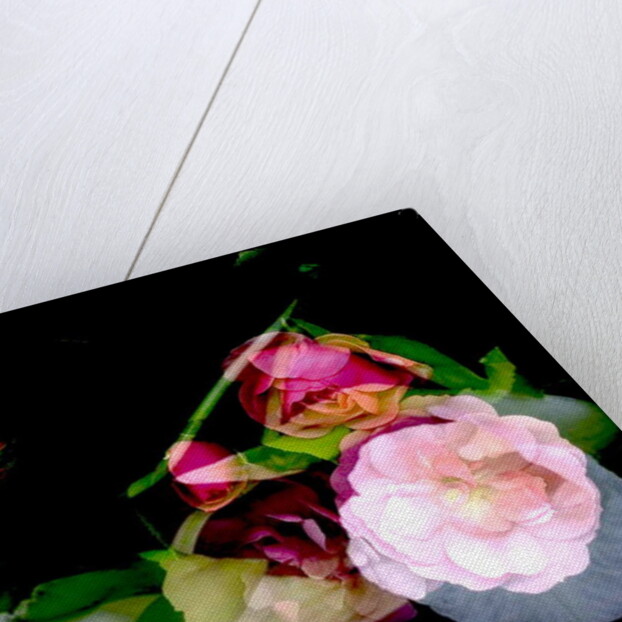 MY MUM'S FLOWER, 2017 by Linda Arthurs