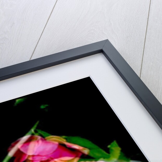 MY MUM'S FLOWER, 2017 by Linda Arthurs