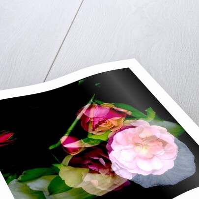 MY MUM'S FLOWER, 2017 by Linda Arthurs