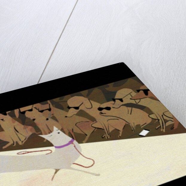 Catwalk, 2016 by A.Richard Allen