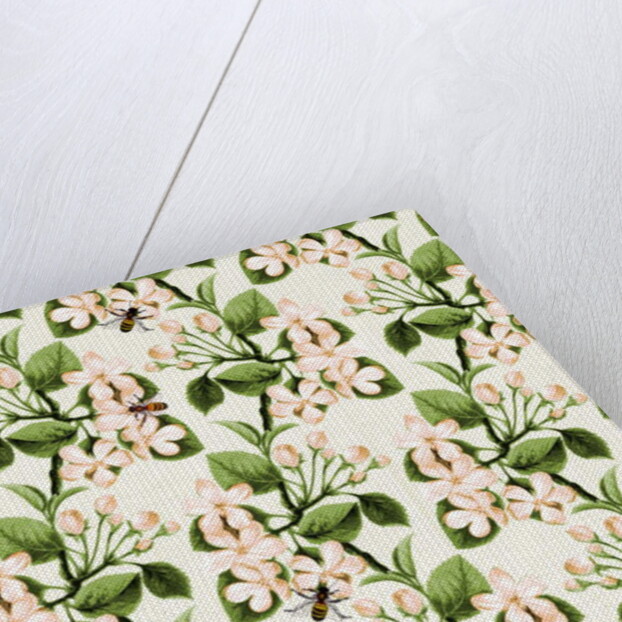 Crab Apple Blossom and Honey Bee, 2017 by Andrew Watson