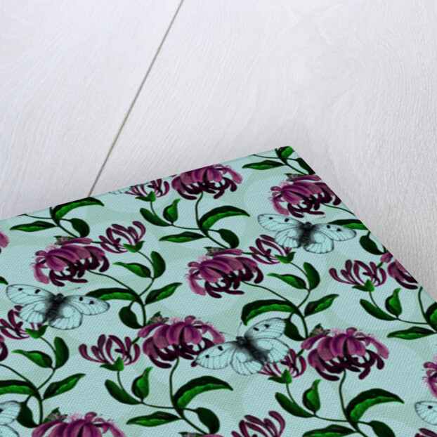 Honeysuckle with Clouded Apollo Butterfly, 2017 by Andrew Watson