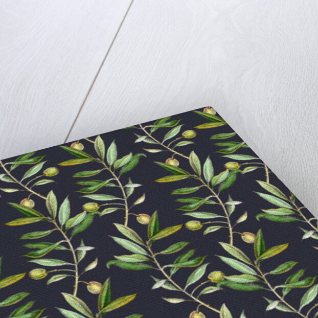 Olive branches, 2017 by Andrew Watson