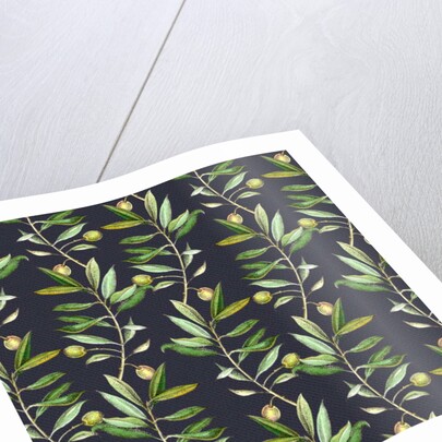 Olive branches, 2017 by Andrew Watson