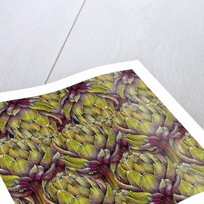 Globe artichoke heads, 2018 by Andrew Watson