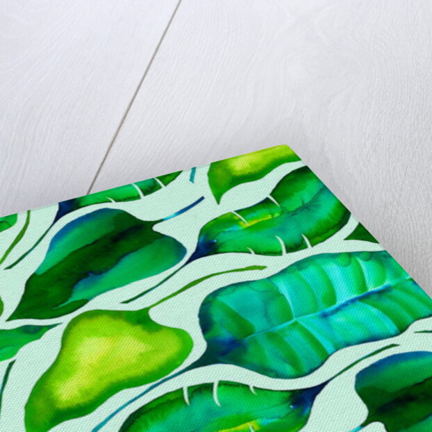 Tropical leaves, 2018 by Andrew Watson