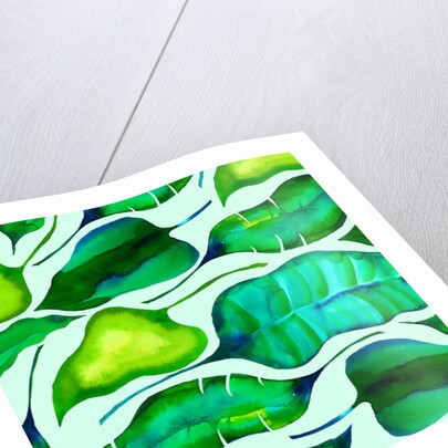 Tropical leaves, 2018 by Andrew Watson