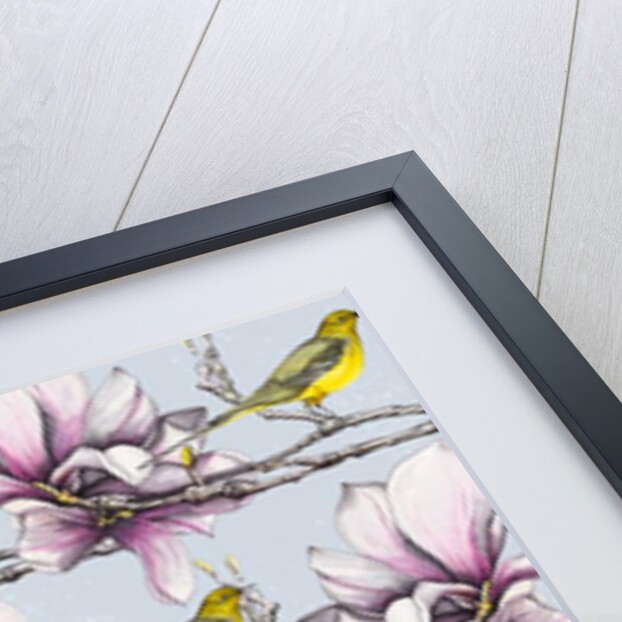 Magnolia and Yellow Wagtails, 2019 by Andrew Watson