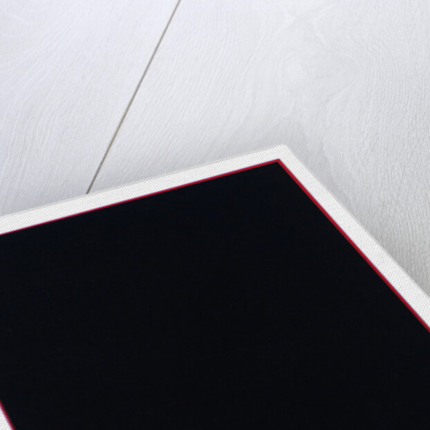 Don't fuck with the Culture, 2013 by Alex Dunn