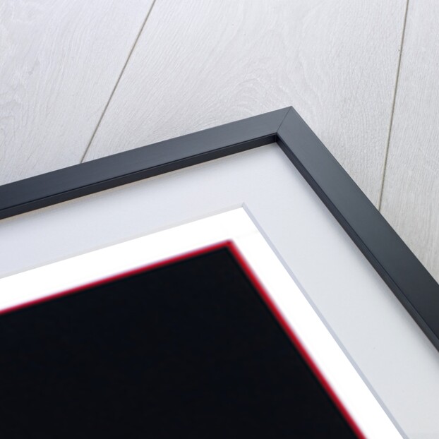 Don't fuck with the Culture, 2013 by Alex Dunn