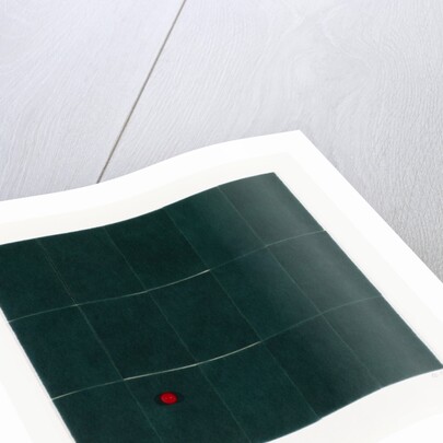 Kitchen scourers, 2013 by Alex Dunn