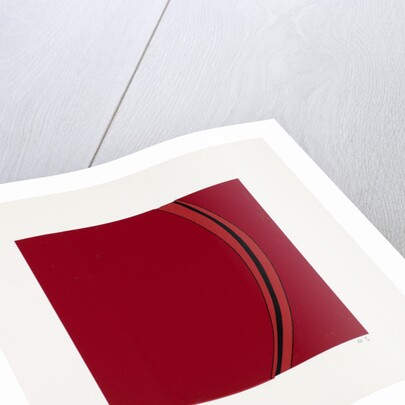 Segment, 2013 by Alex Dunn