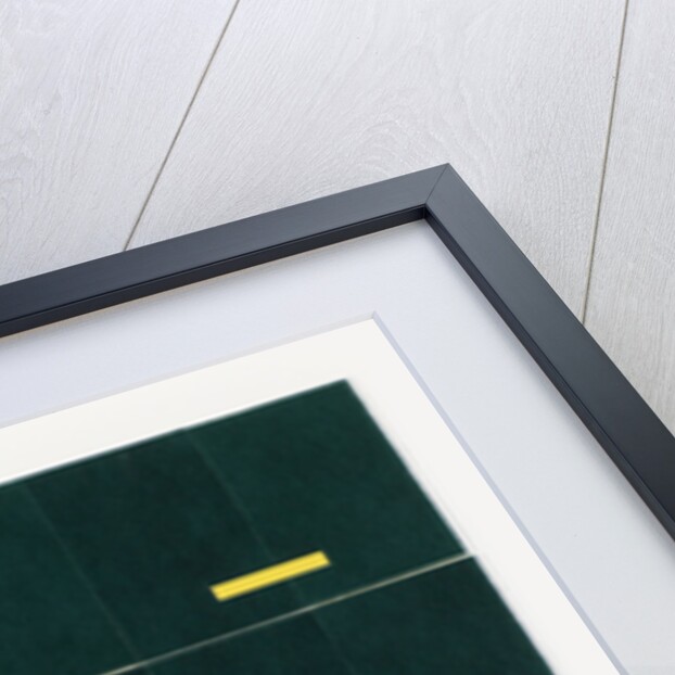 Kitchen scourers, 2012 by Alex Dunn