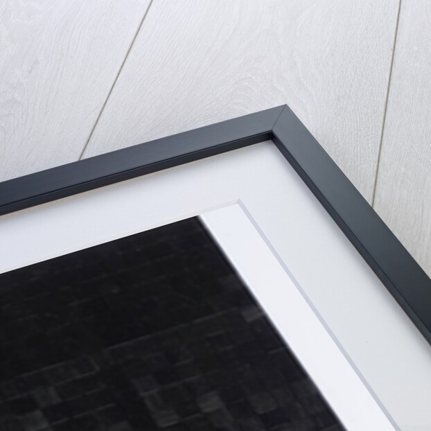 Other times have other lives to live, 2016 by Alex Dunn