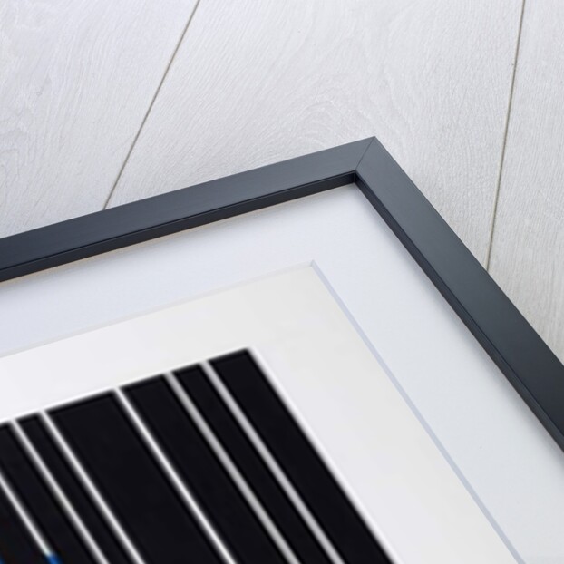 Point Blank by Alex Dunn