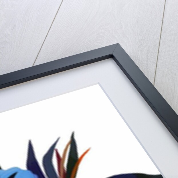 Red and Orange and light blue tulips by Hiroyuki Izutsu