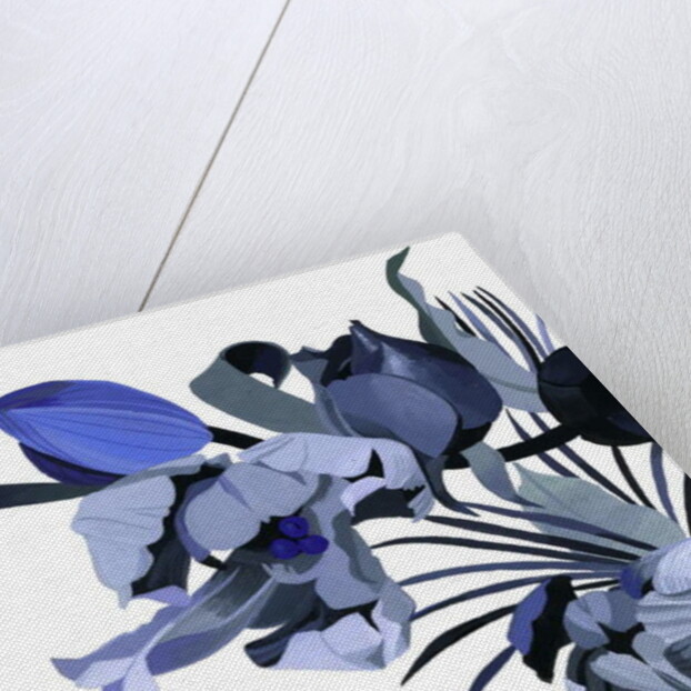 Tulip drawn in gray tone. by Hiroyuki Izutsu