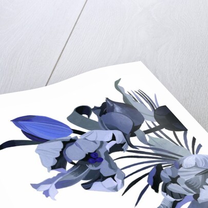 Tulip drawn in gray tone. by Hiroyuki Izutsu