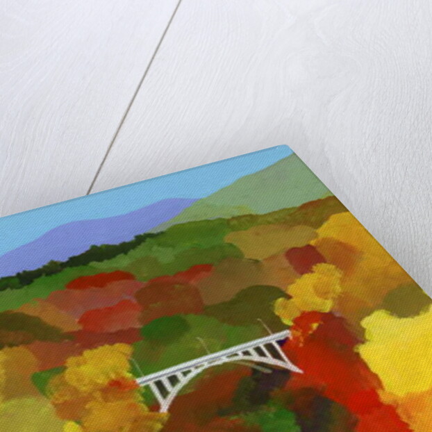 Autumn leaves valley, 2017 by Hiroyuki Izutsu