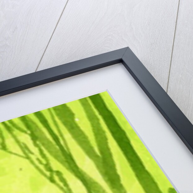 ise shrine; Torii is the entrance to the shrine, 2016 by Hiroyuki Izutsu
