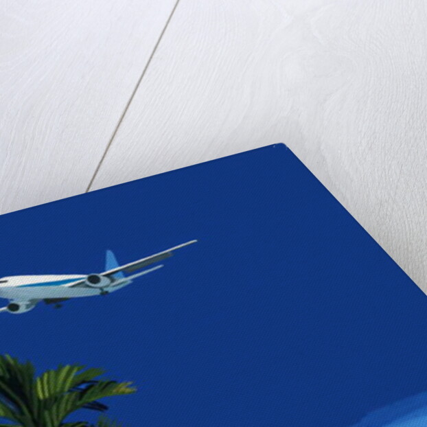 Airplane and palm tree, 2016 by Hiroyuki Izutsu