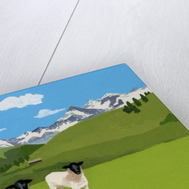 Sheep in Zermatt, Switzerland, 2015 by Hiroyuki Izutsu