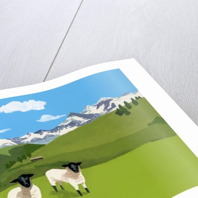 Sheep in Zermatt, Switzerland, 2015 by Hiroyuki Izutsu