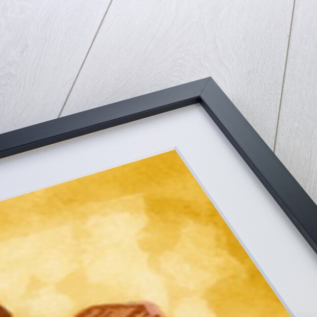 A novelist who writes manuscripts, 2016 by Hiroyuki Izutsu