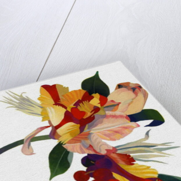 Tulip parrot1 by Hiroyuki Izutsu