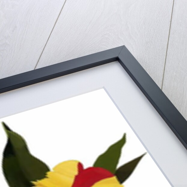 Tulip parrot 3, 2003 by Hiroyuki Izutsu