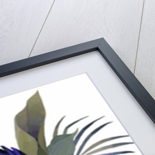 White flowers and light blue flowers by Hiroyuki Izutsu