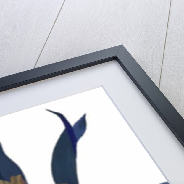 Imaginary flowers 2, 2004 by Hiroyuki Izutsu