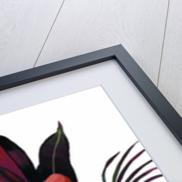 Tulips and amaryllis, 2003 by Hiroyuki Izutsu