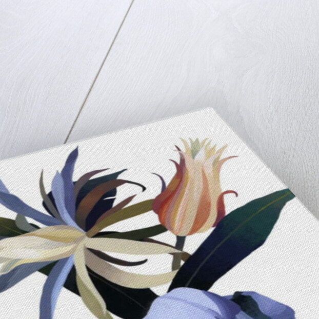 Imaginary flowers based on tulips, 2003 by Hiroyuki Izutsu