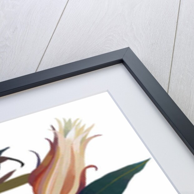 Imaginary flowers based on tulips, 2003 by Hiroyuki Izutsu