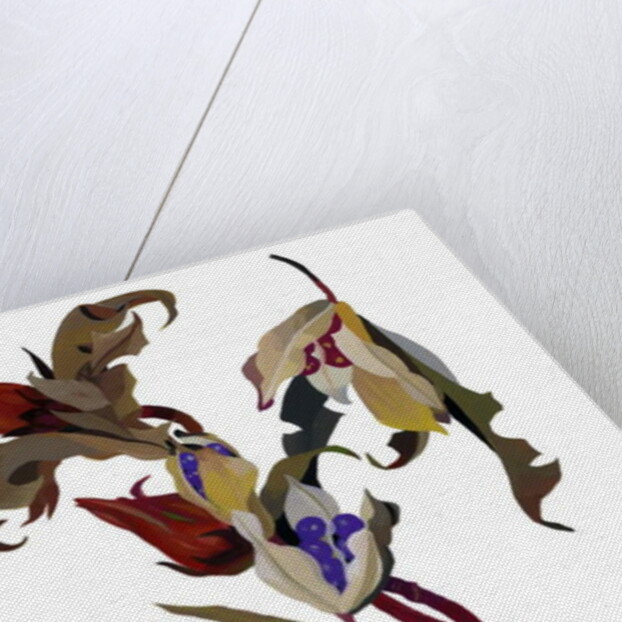 Winter-inspired flowers, 2003 by Hiroyuki Izutsu