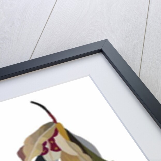 Winter-inspired flowers, 2003 by Hiroyuki Izutsu