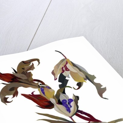 Winter-inspired flowers, 2003 by Hiroyuki Izutsu