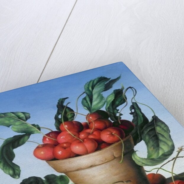 Cherries in terracotta with blue flower by Amelia Kleiser